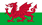 WALES flag