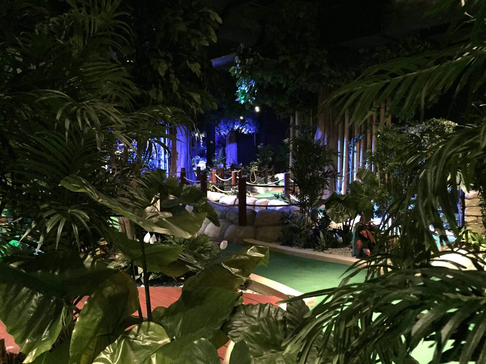 Rainforest Adventure Golf Cardiff Treetop